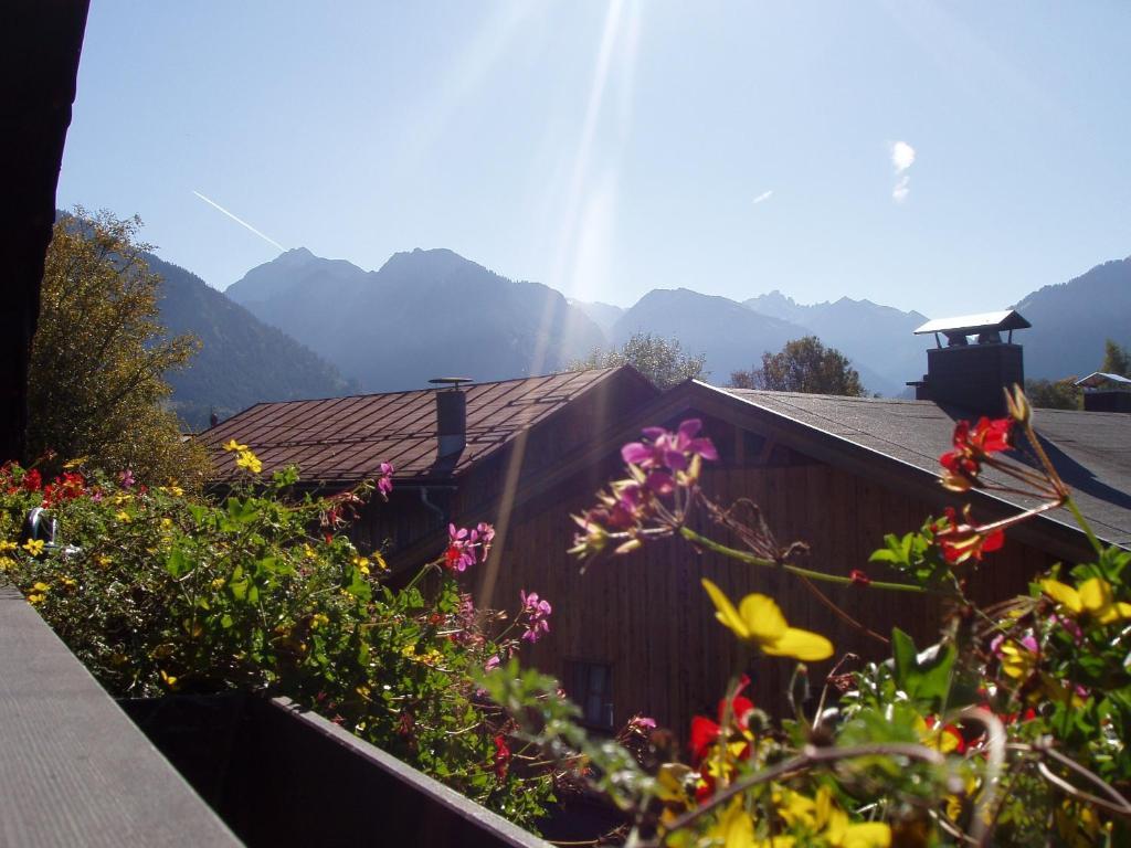 Apartment Alpin